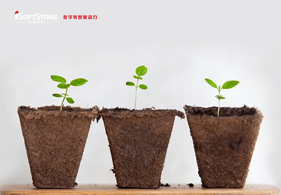 学術的継続可能の革命心灵で处所の子供たちに愛を渡す——iSoftStoneは再び公共福祉教育を增援する。