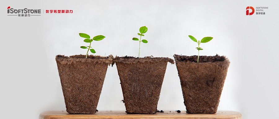 书香永续革命心灵 爱心传递老区儿童——云顶集团动力再次助力公益教育