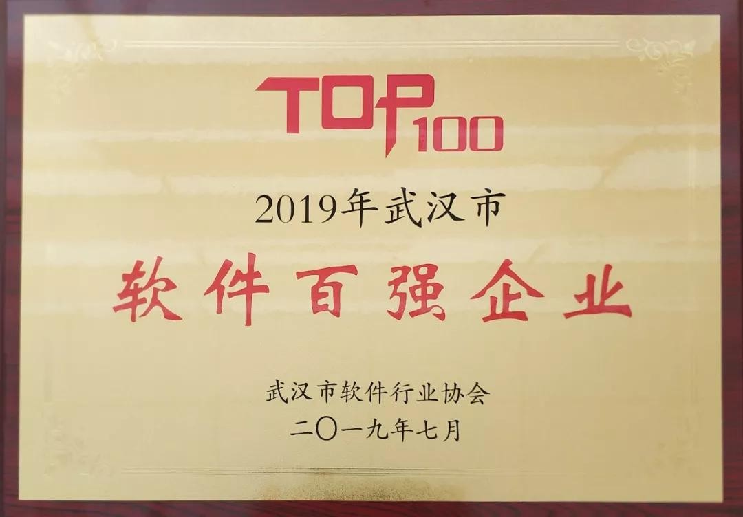 云顶集团动力荣获2019年武汉市软件百强企业榜单第一名