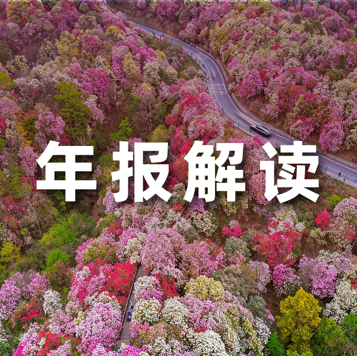 云顶集团动力2025营收利润双增，全栈智能驱动增长，AI有关业务收入占比达52.6%  ?